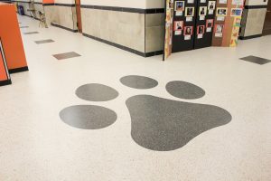 Freshly updated flooring in school entryway completed over summer break 