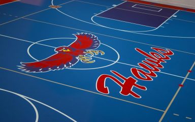 Seamless Pulastic gym floor with custom game lines and school colors